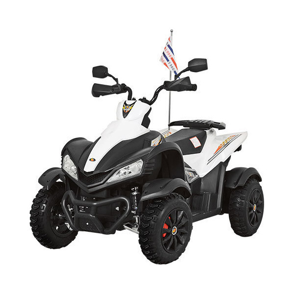 

Квадроцикл Al Toys DMD-268 White (DMD-268)