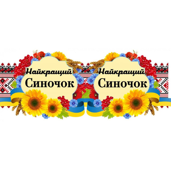 

Чашка Вышивка ";Синочок"; (171112)