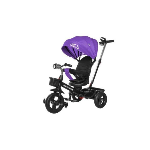 

трехколесный TILLY CANYON T-384 Фіолетовий/1/