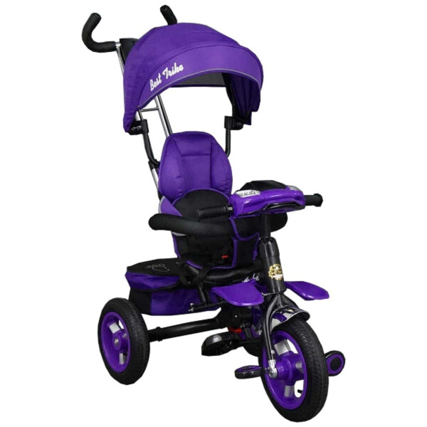 

Детский велосипед-каталка Best Trike 6699 Фиолетовый (надувные колеса)