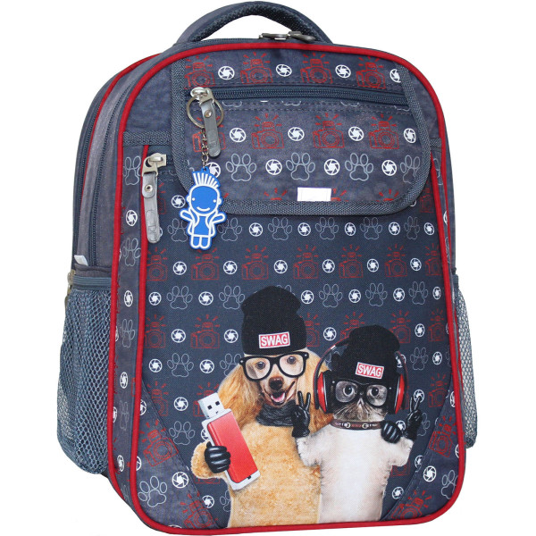 

Рюкзак школьный Bagland Отличник 20 л. 321 серый 188к (0058070)
