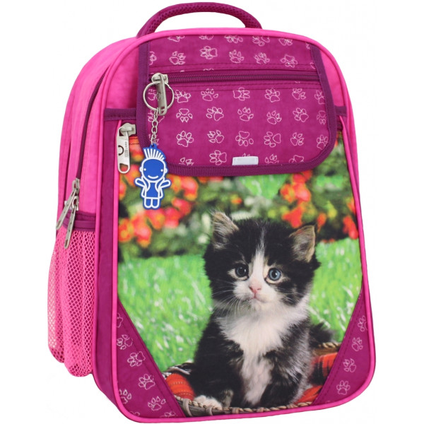 

Рюкзак школьный Bagland Отличник 20 л. малина (0058070)