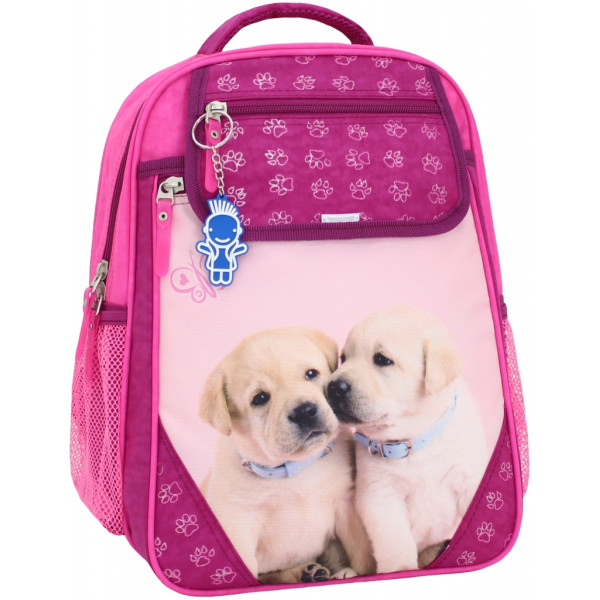 

Рюкзак школьный Bagland Отличник 20 л. малина (0058070)
