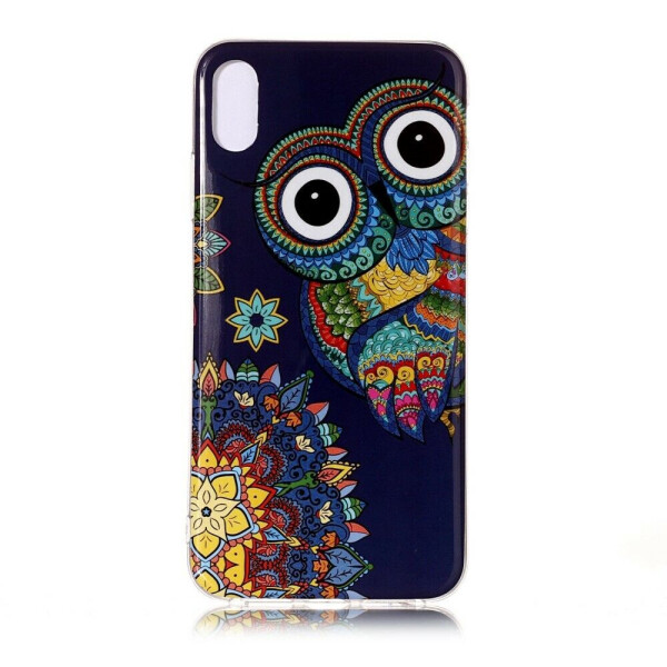 

Силиконовый (TPU) чехол Deexe LumiCase для Apple iPhone XR - Colorful Owl