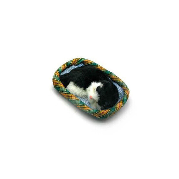 

Статуэтка Kanishka Котенок на Коврике (14Х12Х3 см) 27179 Черный