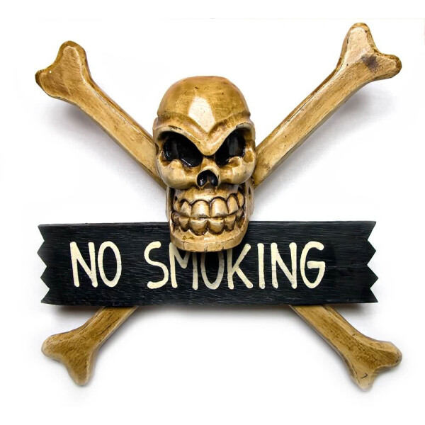 

Статуэтка Darshan Череп с костями "No Smoking" (30Х9Х30 См) 24347