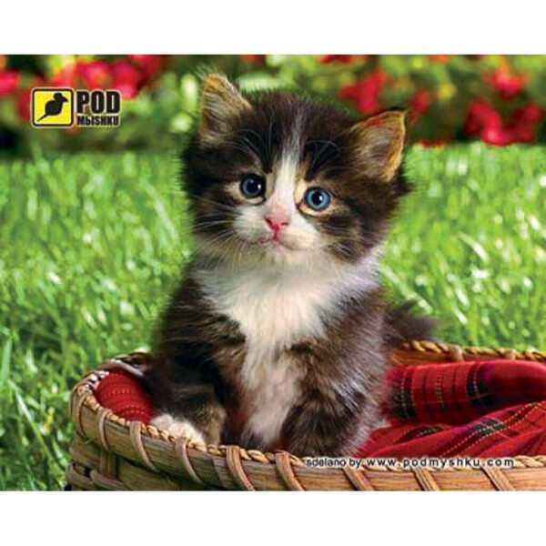 

Коврик для мышки Pod Mishkou Котенок в корзине