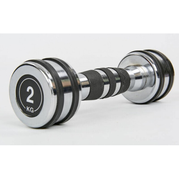 

Гантель хромированная Record TA-8232-2 (1x2,кг) Silver