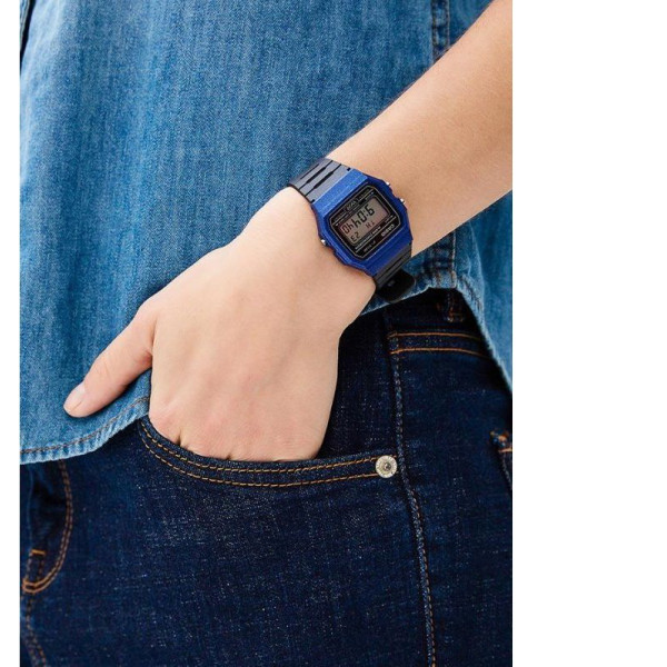 

Наручные часы CASIO F-91WM-2ADF
