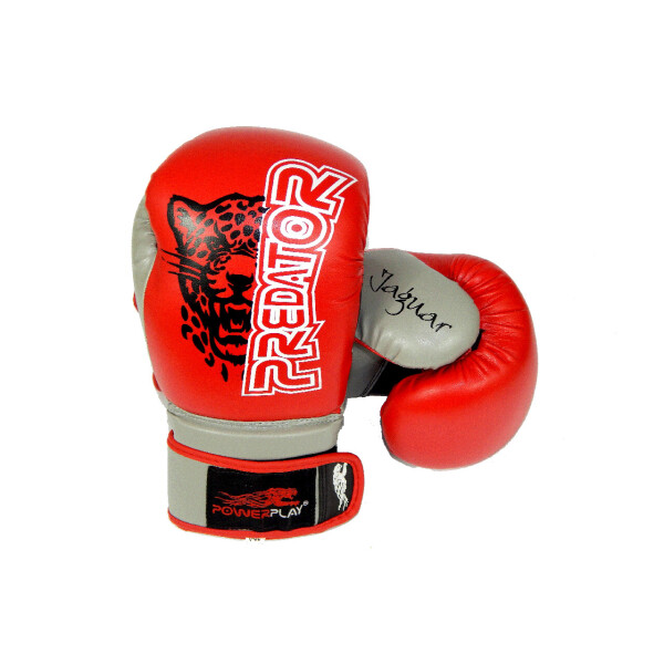 

Перчатки боксерские PowerPlay 3008 красные 14 унций (PP_3008_14 oz_Red)