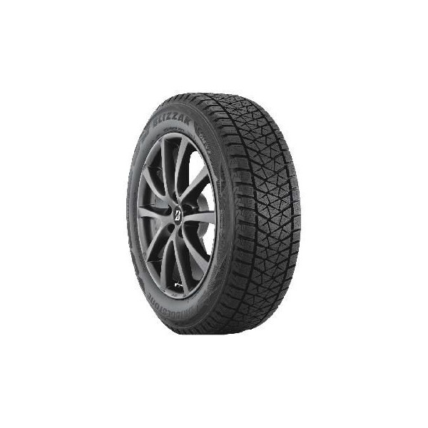 

Bridgestone Blizzak DM-V2 235/55 R20 102T