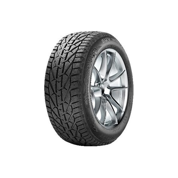 

Taurus Winter 225/55 R17 101V XL