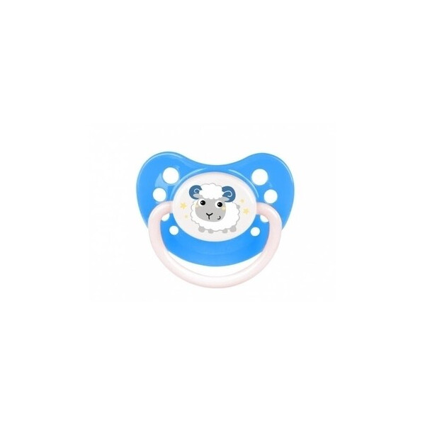 

Силиконовая анатомическая пустышка Canpol Babies Bunny & Company, 6-18 мес., голубой (23/272 Голубой)