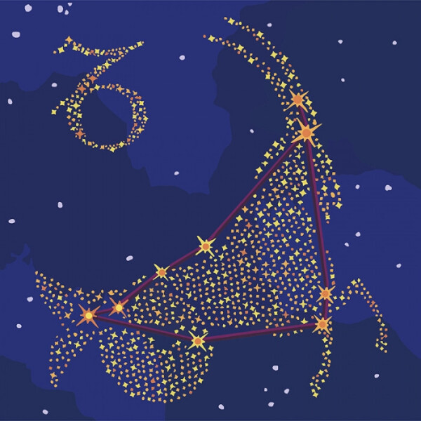 

Картина по номерам. Звездный знак "Козерог" с краской металлик 50*50см KH9510