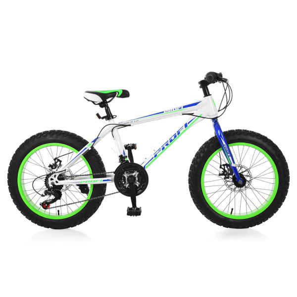 

Profi 20" EB20POWER 1.0 S20.3 White-Blue-Lime Green (EB20POWER 1.0)