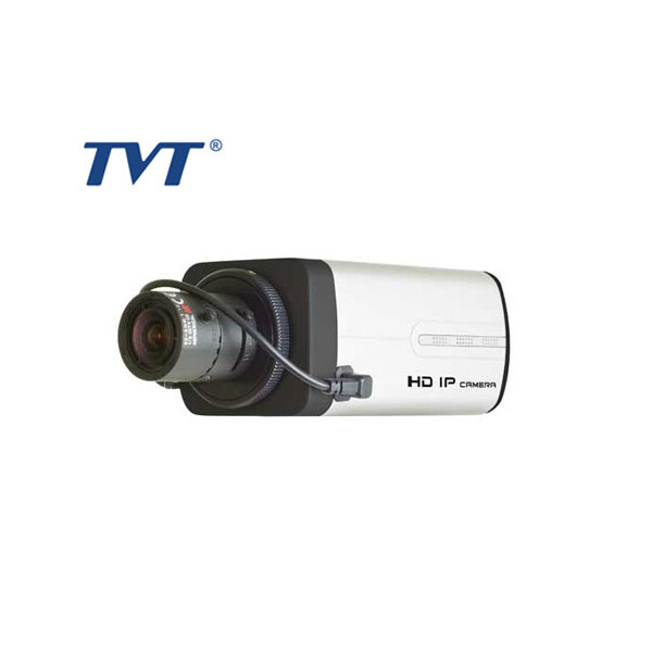

IP-Видеокамера TD-9322D