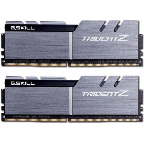 

G.Skill 16 GB (2x8GB) DDR4 3200 MHz (F4-3200C16D-16GTZSK)