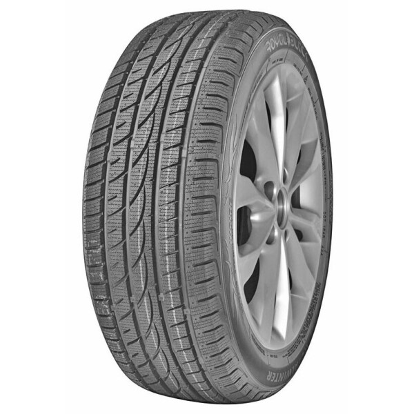 

Royal Black Royal Winter 205/55 R16 91H