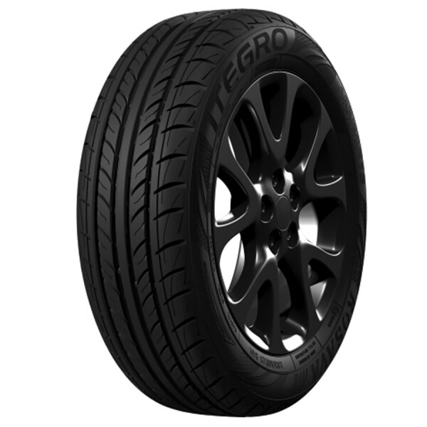 

Росава Itegro 205/55 R16 91V