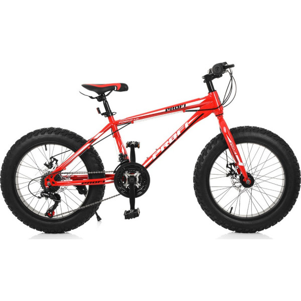 

Profi 20" EB20POWER 1.0 S20. Red (EB20POWER 1.0)
