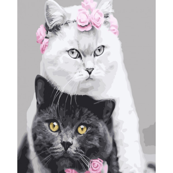 

Картина по номерам. Rainbow Art "Белая кошка , черный кот" GX26128-RA