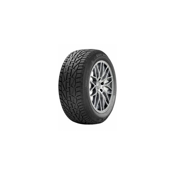 

RIKEN Snow 195/65R15 91H