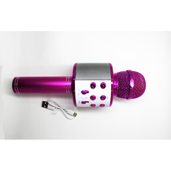 

Микрофон караоке Wster "Microphone Hifi Speaker" (070711)