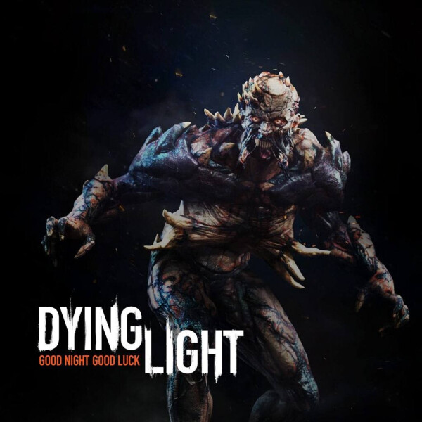 

Ключ активации Steam Dying Light: Hellraid