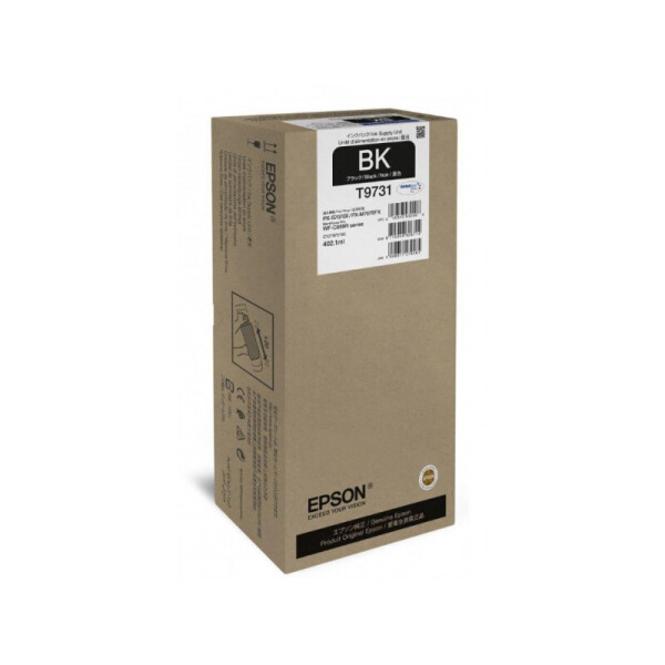 

Картридж Epson C13T973100