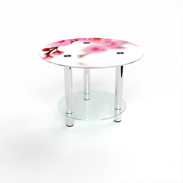 

Стол журнальный БЦ-стол Круглый с полкой Sakura (600 x 600 x 500)