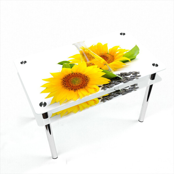 

Стол БЦ-стол Прямоугольный с проходящей полкой Sunflower Эко (610 x 910 x 750)