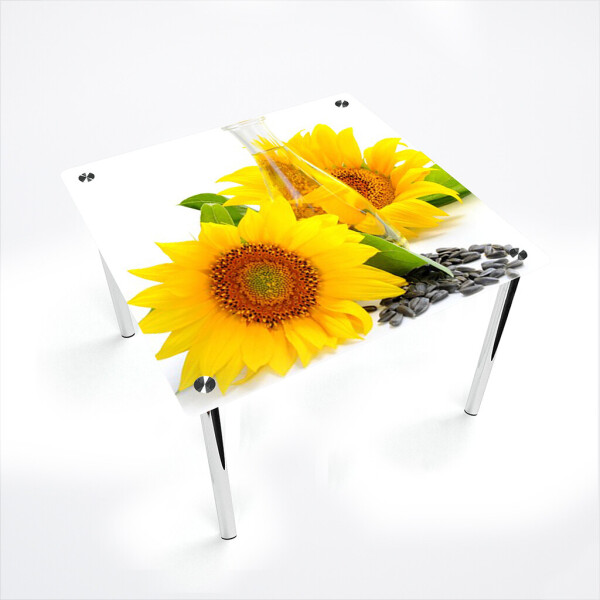 

Стол БЦ-стол Квадратный Sunflower Эко (700 x 700 x 750)
