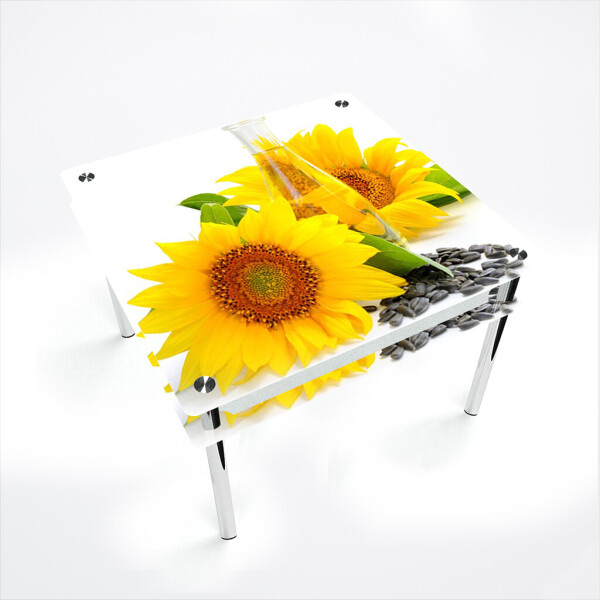 

Стол БЦ-стол Квадратный с проходящей полкой Sunflower (1100 x 1100 x 750)
