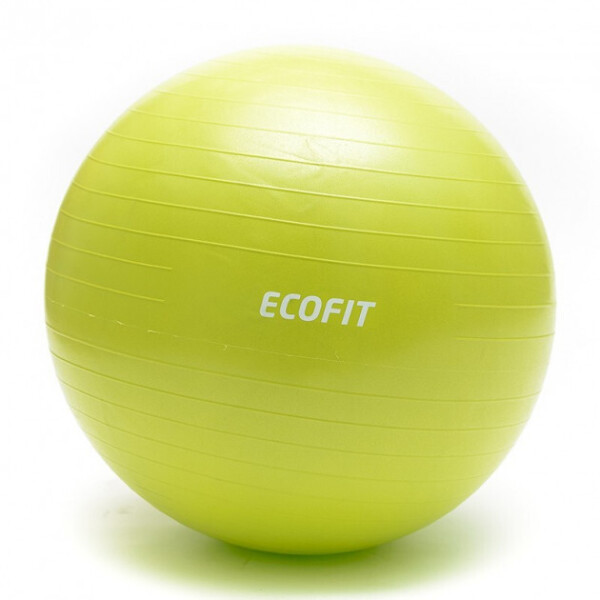 

Мяч для фитнеса EcoFit MD1225 65см/1100 гр (К00015205)