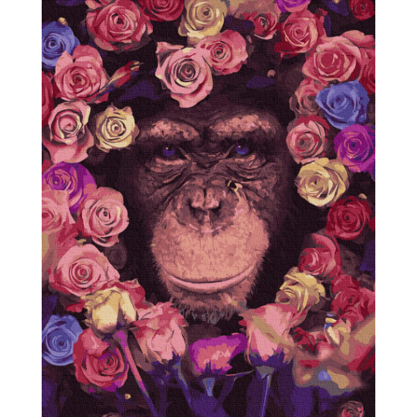 

Картина по номерам. Rainbow Art "Шимпанзе" GX36041-RA