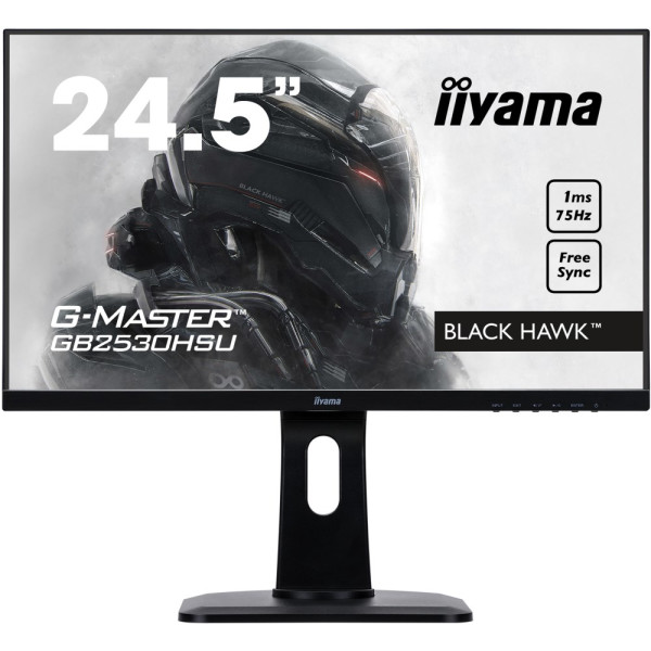 

Iiyama G-Master GB2530HSU-B1