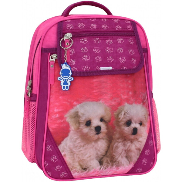 

Рюкзак школьный Bagland Отличник 20 л. Малиновый 137д (0058070)