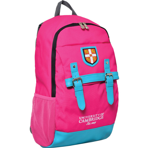 

Рюкзак подростковый YES CA064 "Cambridge", розовый, 29*13*48см