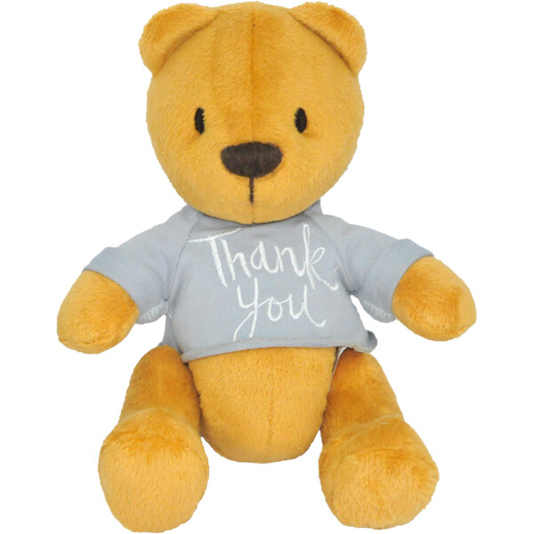 

Мягкая игрушка Tigres Мишка Дэнни Thank you (ВЕ-0207)