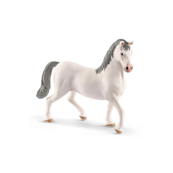 

Фигурка Schleich Horse Club Липпицианский жеребец (13887)