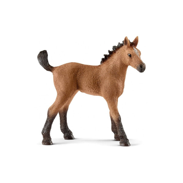 

Фигурка Schleich Жеребенок Кватерхорс (13854)