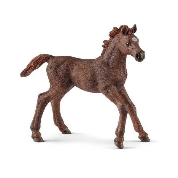 

Фигурка Schleich Английский чистокровный жеребенок (13857)