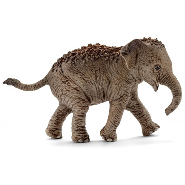 

Фигурка Schleich Азиатский слоненок (14755)
