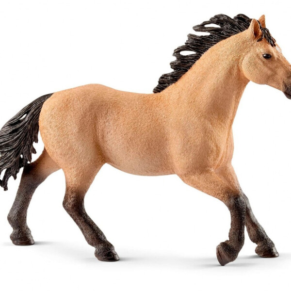 

Фигурка игровая Жеребец Schleich породы Квотерхорс (13853)
