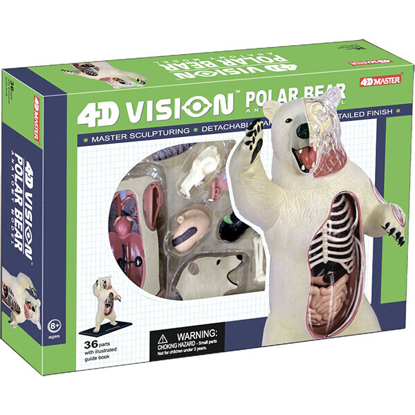 

Объемная анатомическая модель 4D Master Белый медведь (26097)