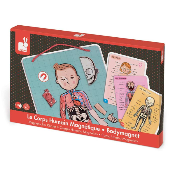 

Игровой магнитный набор Janod Тело человека (J05491)
