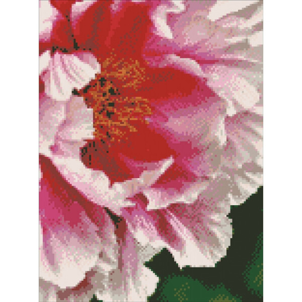

Алмазная мозаика ";Пион"; 30*40см AM6106