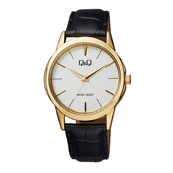

Q&Q Q860-101