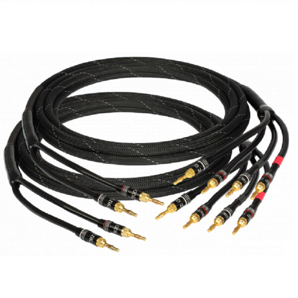 

Кабель акустический GOLDKABEL edition ORCHESTRA Bi-Wire 2x3,0м
