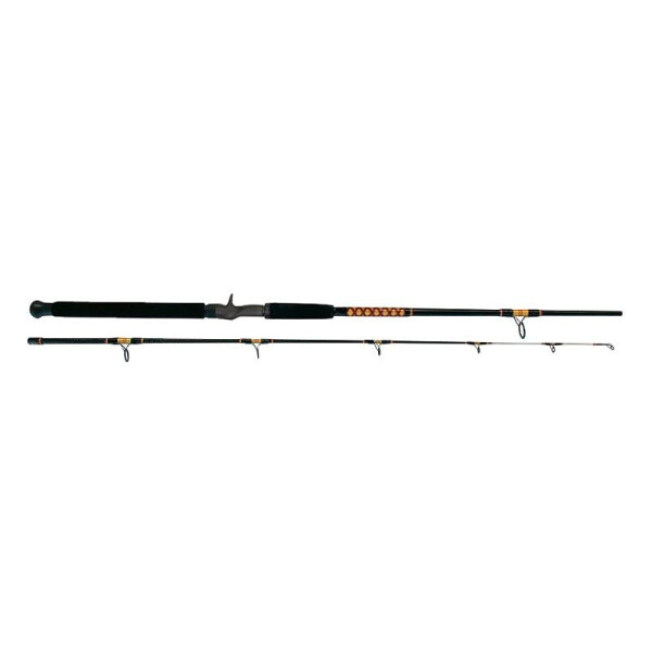 

Удилище Salmo Power Stick Trolling Cast 240